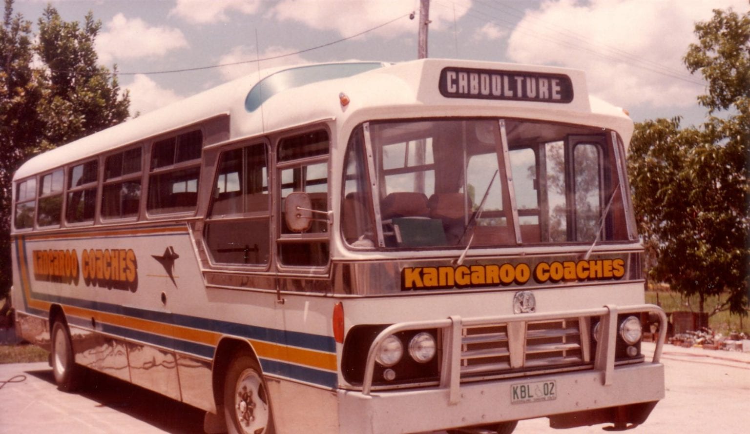 kangaroo0009