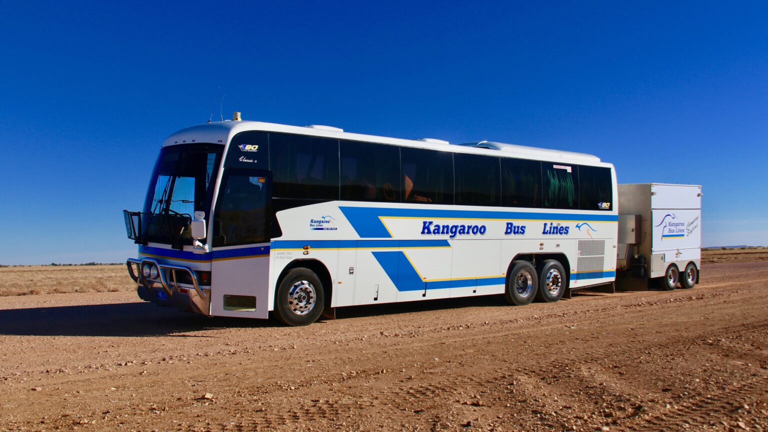 bus driver