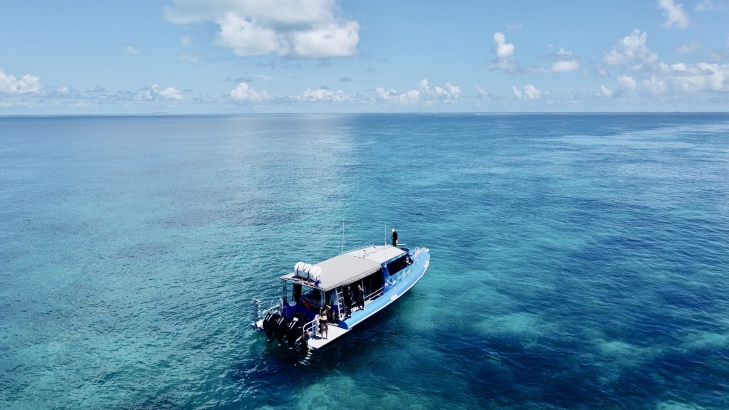 Reef Discoveries Tour Kangaroo Bus Lines