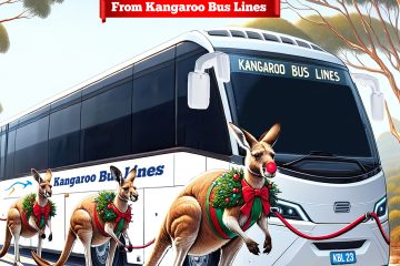 J013655 Kangaroo christmas post V3